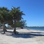 J'allais à Sanibel Island surtout pour le refuge d'oiseaux, tellement de monde que je me suis contentée des plages d'un parc eh dehors de l'île. Plage de coquillge tout de même.